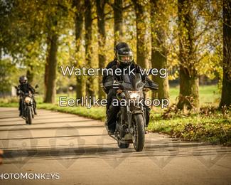 Herfstrit Moerzeke photo