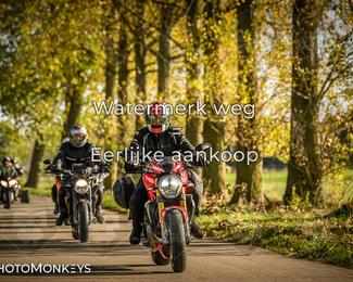 Herfstrit Moerzeke photo