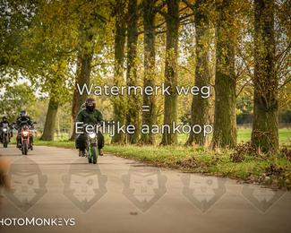 Herfstrit Moerzeke photo