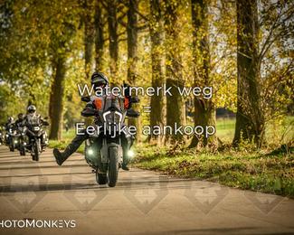 Herfstrit Moerzeke photo