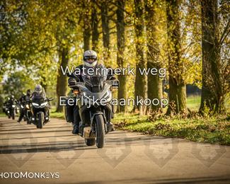 Herfstrit Moerzeke photo