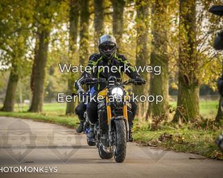 Herfstrit Moerzeke photo