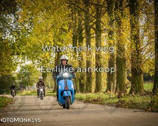 Herfstrit Moerzeke photo