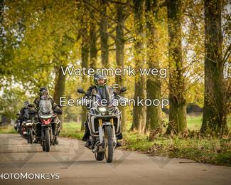 Herfstrit Moerzeke photo