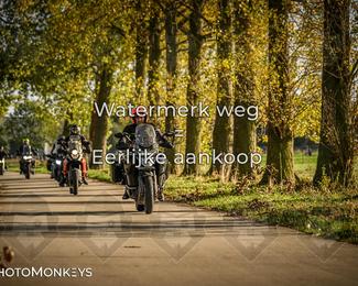 Herfstrit Moerzeke photo