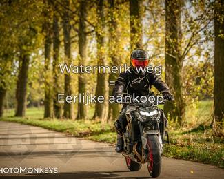 Herfstrit Moerzeke photo