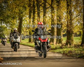 Herfstrit Moerzeke photo