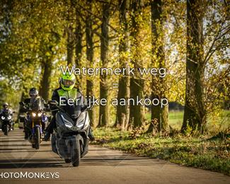 Herfstrit Moerzeke photo