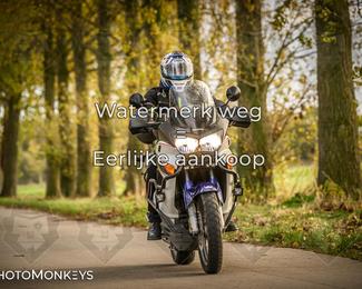 Herfstrit Moerzeke photo