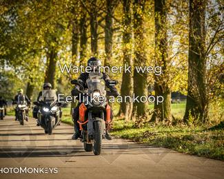 Herfstrit Moerzeke photo