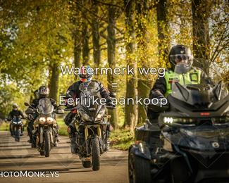 Herfstrit Moerzeke photo