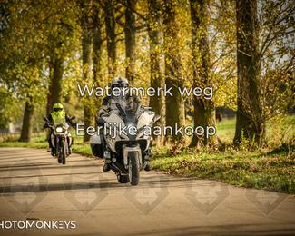 Herfstrit Moerzeke photo