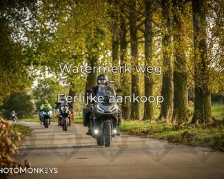 Herfstrit Moerzeke photo