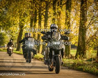 Herfstrit Moerzeke photo