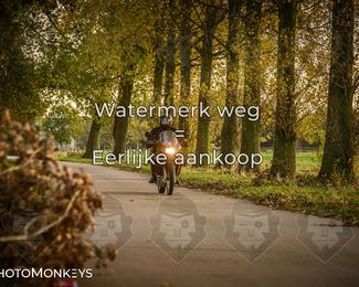 Herfstrit Moerzeke photo