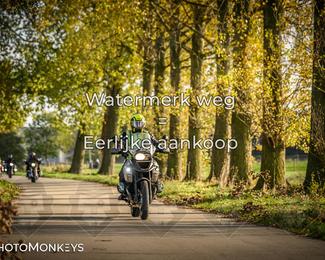 Herfstrit Moerzeke photo