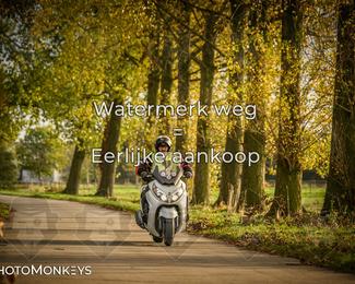 Herfstrit Moerzeke photo