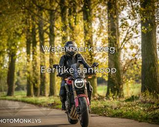 Herfstrit Moerzeke photo