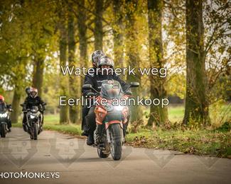 Herfstrit Moerzeke photo