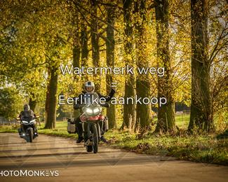 Balade d’automne Moerzeke photo