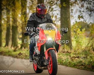 Herfstrit Moerzeke photo