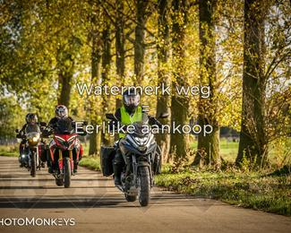 Herfstrit Moerzeke photo