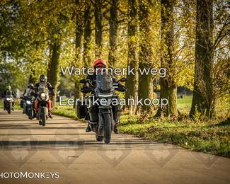 Herfstrit Moerzeke photo