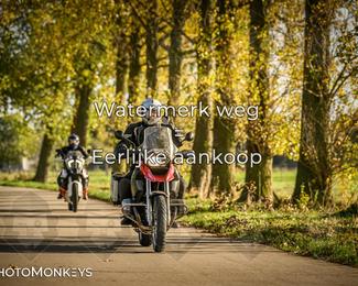 Herfstrit Moerzeke photo