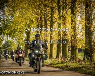 Herfstrit Moerzeke photo