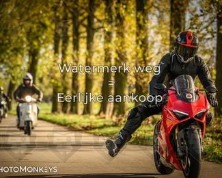 Herfstrit Moerzeke photo