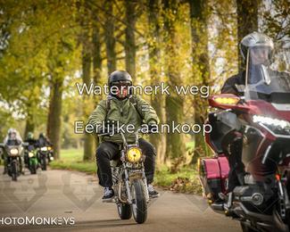 Herfstrit Moerzeke photo