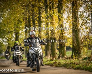 Herfstrit Moerzeke photo