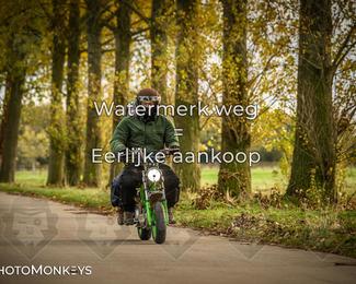 Herfstrit Moerzeke photo