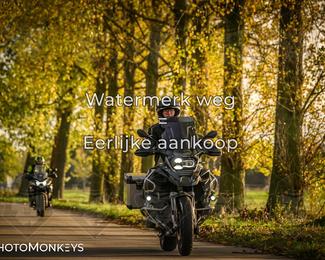 Herfstrit Moerzeke photo