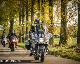 Herfstrit Moerzeke photo