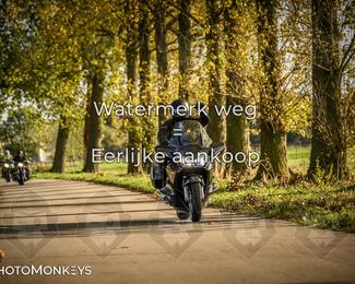 Herfstrit Moerzeke photo