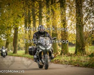 Herfstrit Moerzeke photo