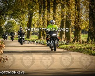 Herfstrit Moerzeke photo