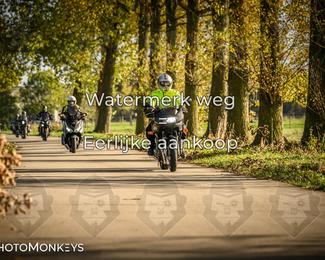 Herfstrit Moerzeke photo