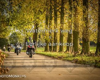 Herfstrit Moerzeke photo