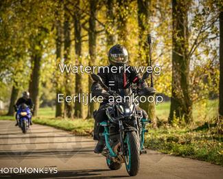 Herfstrit Moerzeke photo