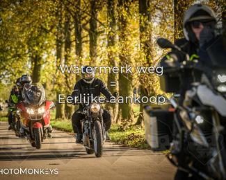 Herfstrit Moerzeke photo