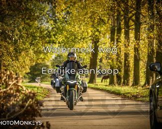 Herfstrit Moerzeke photo