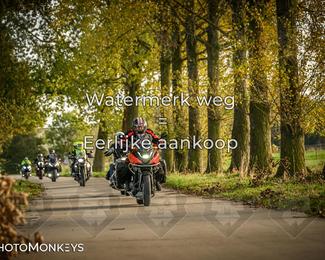 Herfstrit Moerzeke photo