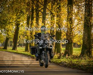 Herfstrit Moerzeke photo