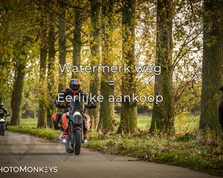 Herfstrit Moerzeke photo