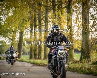 Herfstrit Moerzeke photo