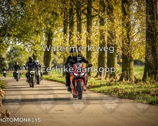 Herfstrit Moerzeke photo