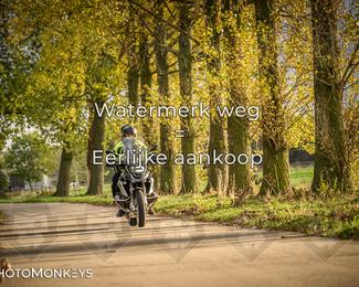 Herfstrit Moerzeke photo