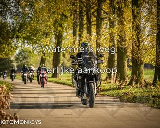 Herfstrit Moerzeke photo